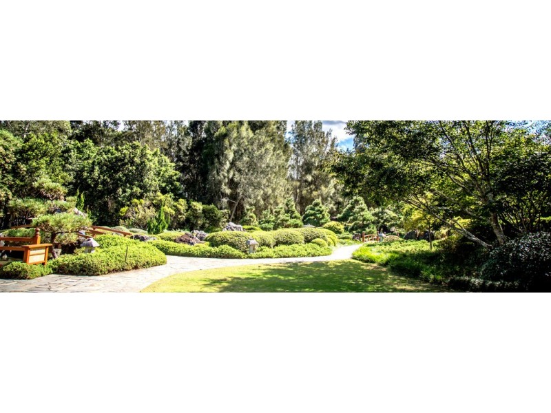 36 Webb Street, Gosford NSW 2250