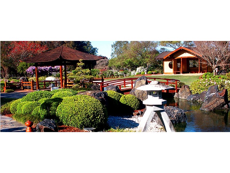 36 Webb Street, Gosford NSW 2250