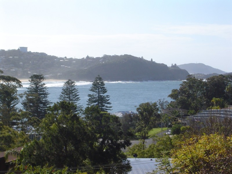 37 ASCOT AVE, Avoca Beach NSW 2251
