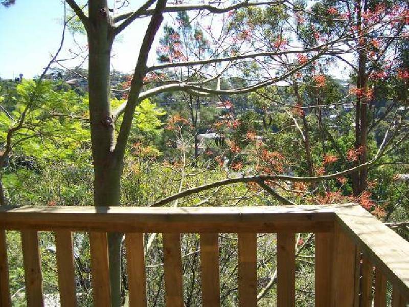 Riviera Avenue, Terrigal NSW 2260