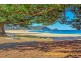 205 The Round Drive, Avoca Beach NSW 2251