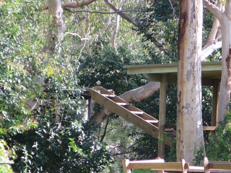 149 Pacific Hwy, Mount White NSW 2250