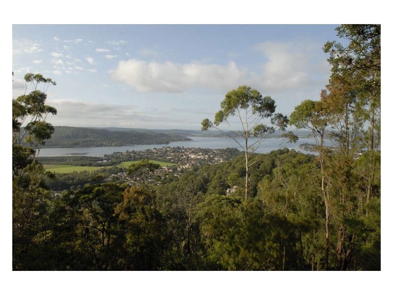 68 Dolly Avenue, Springfield NSW 2250