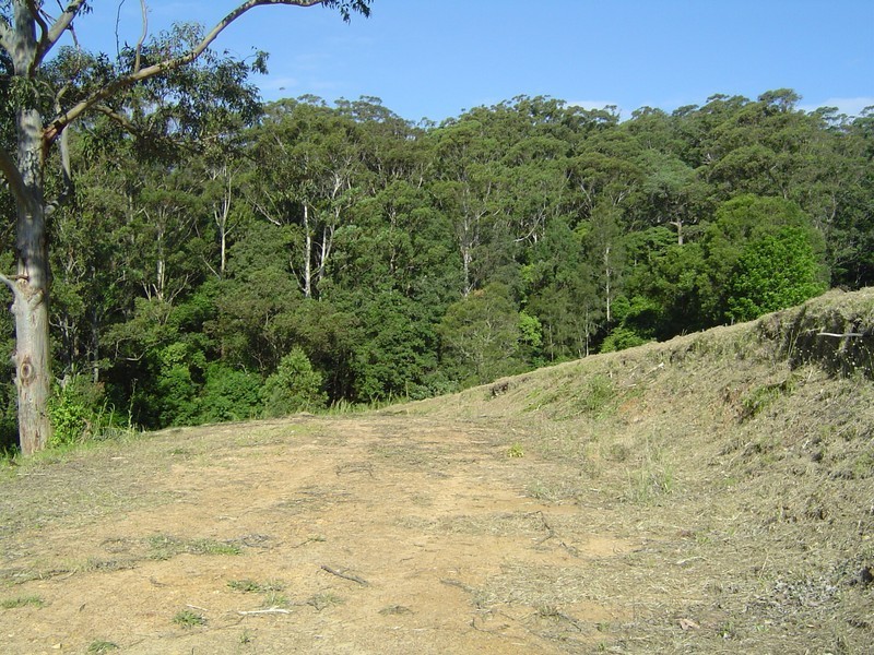 Hillside Rd, Avoca Beach NSW 2251