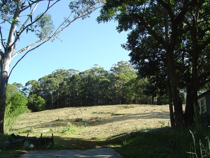 Hillside Rd, Avoca Beach NSW 2251