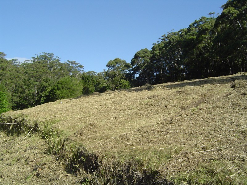 Hillside Rd, Avoca Beach NSW 2251