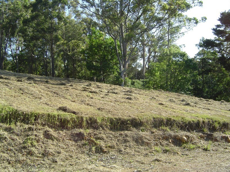 Hillside Rd, Avoca Beach NSW 2251