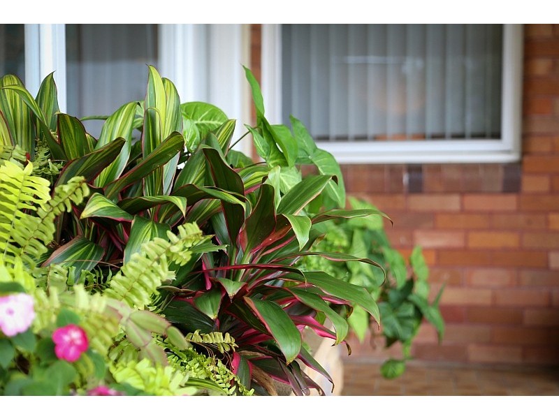 192 Avoca Drive, Kincumber NSW 2251