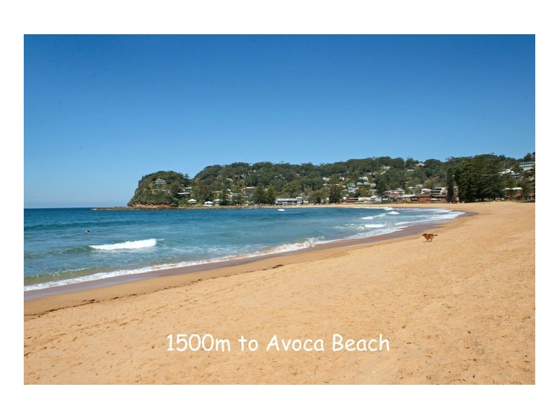 Avoca Beach NSW 2251