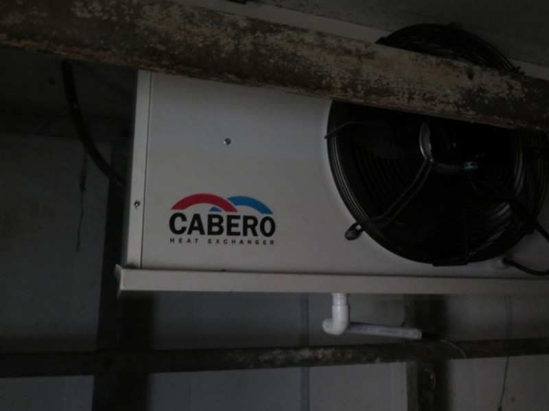 1/68-72 The Entrance Rd, The Entrance NSW 2261