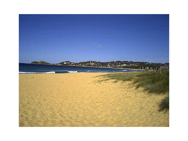Pacific Street, Wamberal NSW 2260