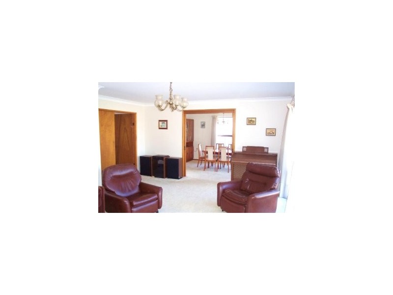 Pacific Street, Wamberal NSW 2260