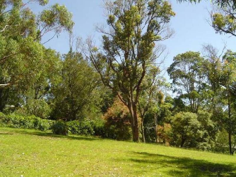 152 Hillside Road, Avoca Beach NSW 2251