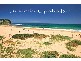 196 Cape Three Points Road, Avoca Beach NSW 2251