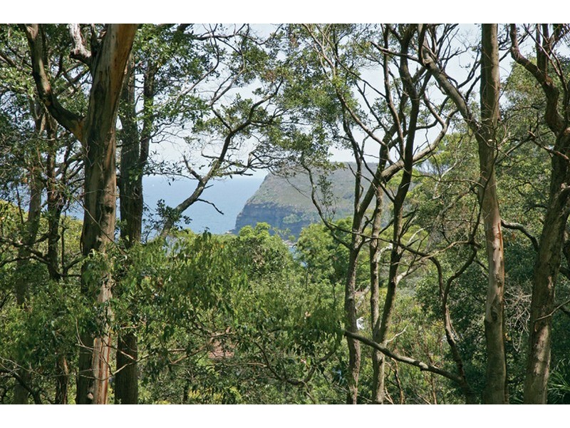 196 Cape Three Points Road, Avoca Beach NSW 2251
