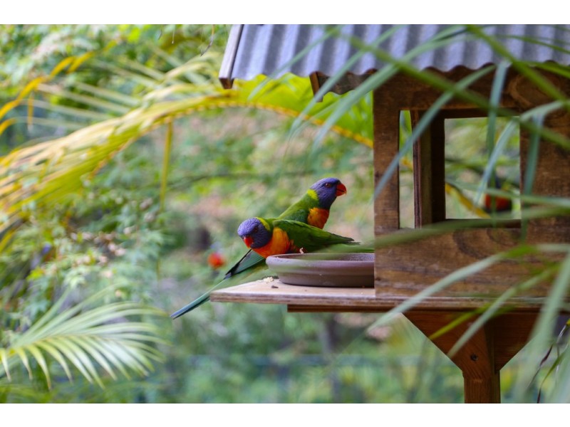 44 Windemere Drive, Terrigal NSW 2260