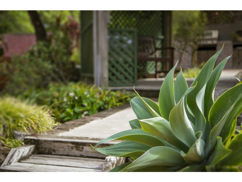 448 Avoca Drive, Green Point NSW 2251