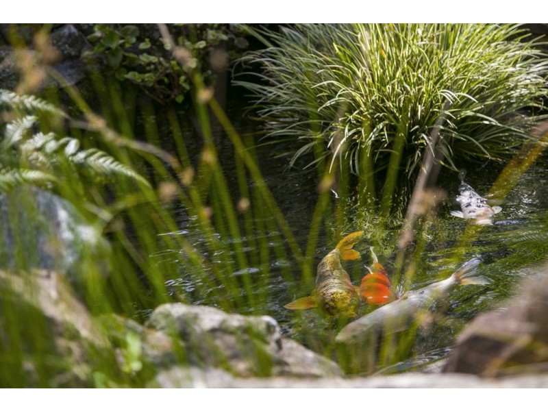 448 Avoca Drive, Green Point NSW 2251