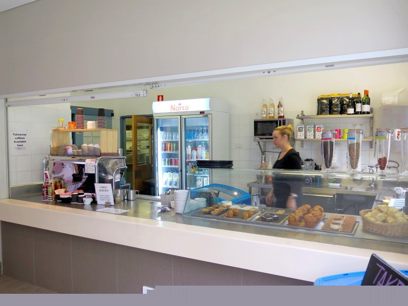 36 Webb Street, Gosford NSW 2250