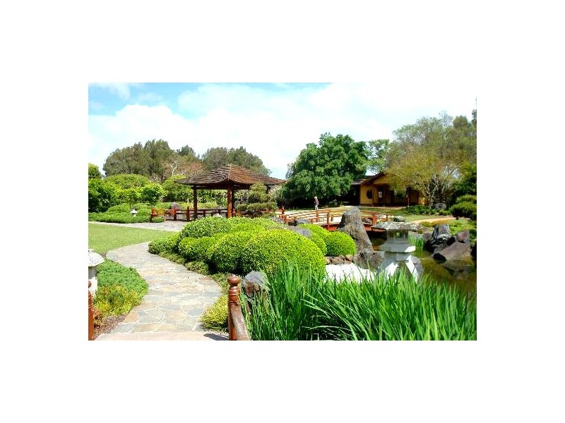 36 Webb Street, Gosford NSW 2250