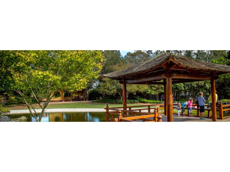 36 Webb Street, Gosford NSW 2250