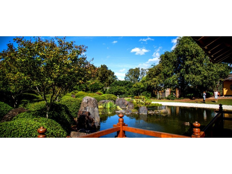 36 Webb Street, Gosford NSW 2250