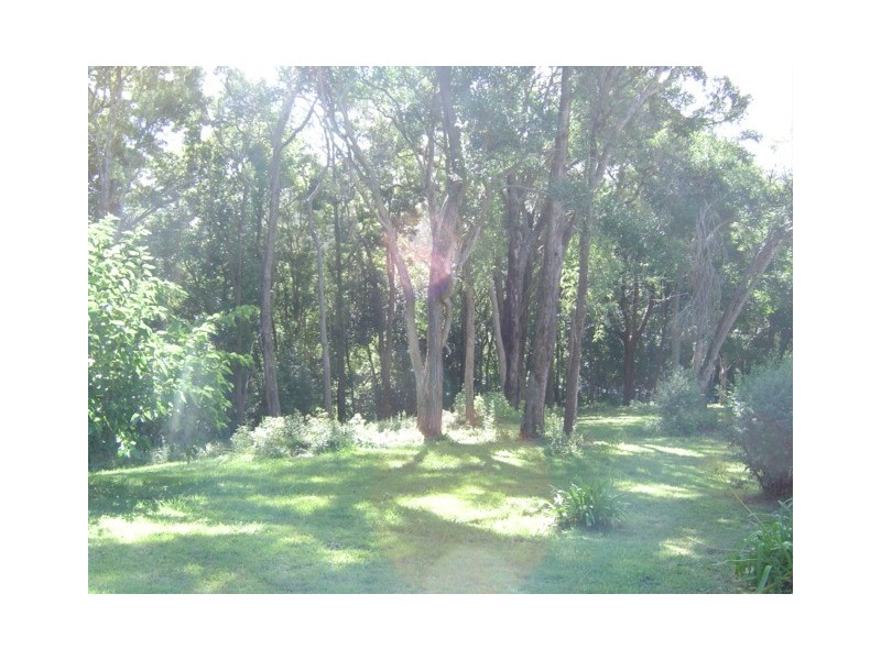 Lot 1, 260 Avoca Dr, Avoca Beach NSW 2251