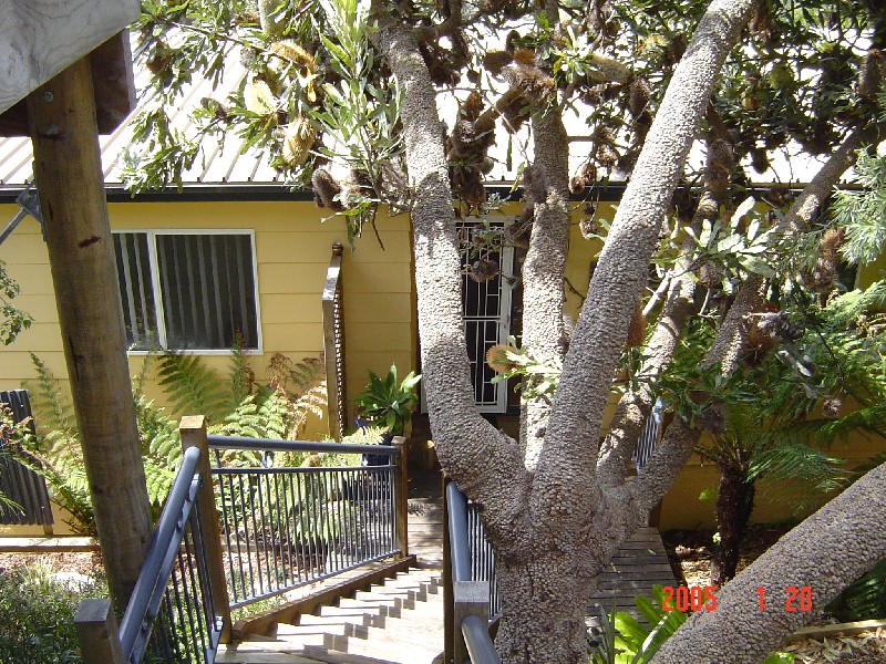 Riviera Avenue, Terrigal NSW 2260