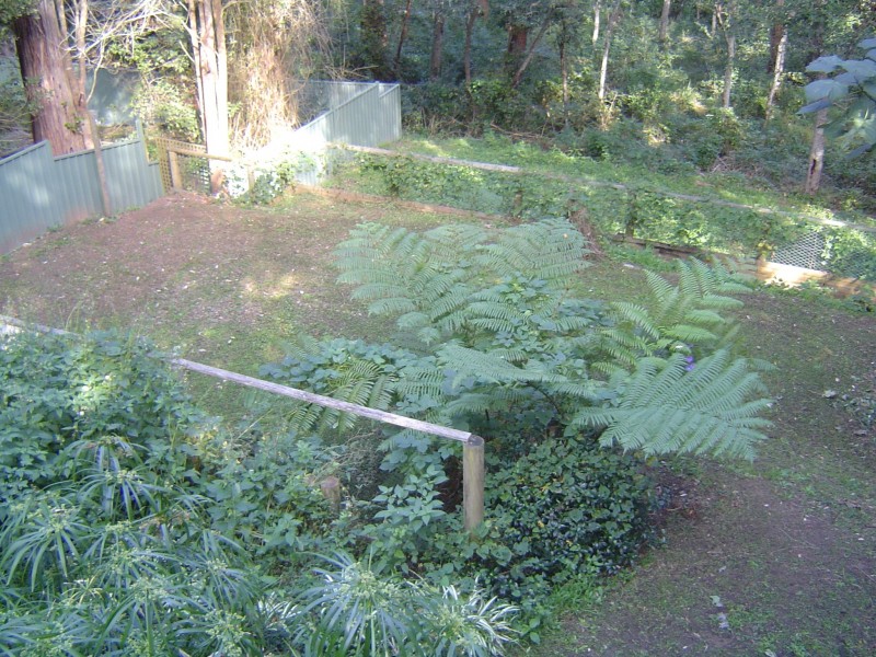 53 Carolina Park Road, Avoca Beach NSW 2251