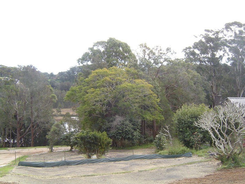 L1-5and7,260 Avoca Drive, Avoca Beach NSW 2251