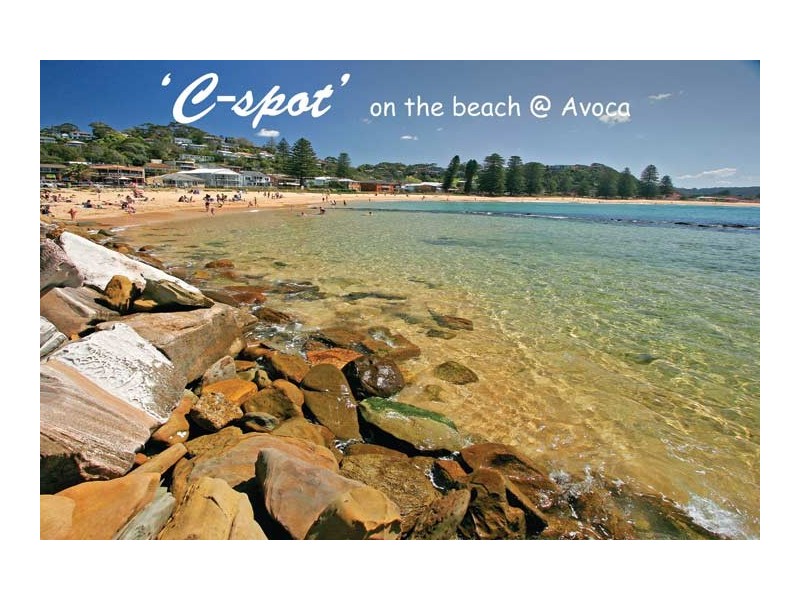 85a Avoca Drive, Avoca Beach NSW 2251