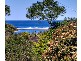 5 Adina Place, Wamberal NSW 2260