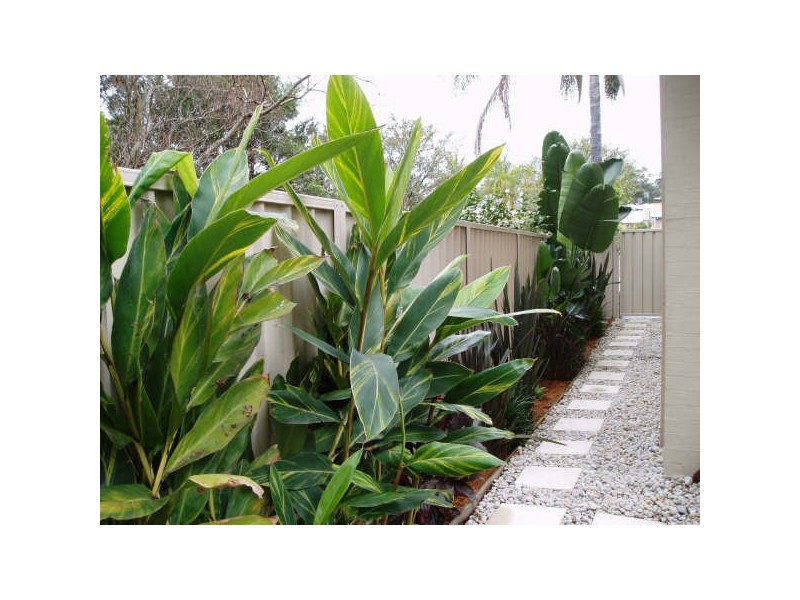2/23 Ena Street, Terrigal NSW 2260