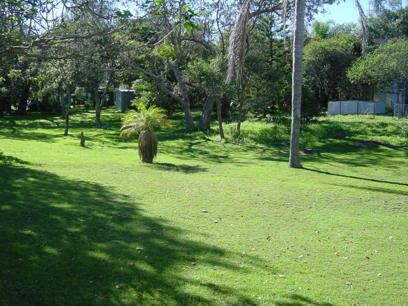 12 View Street, North Avoca NSW 2260