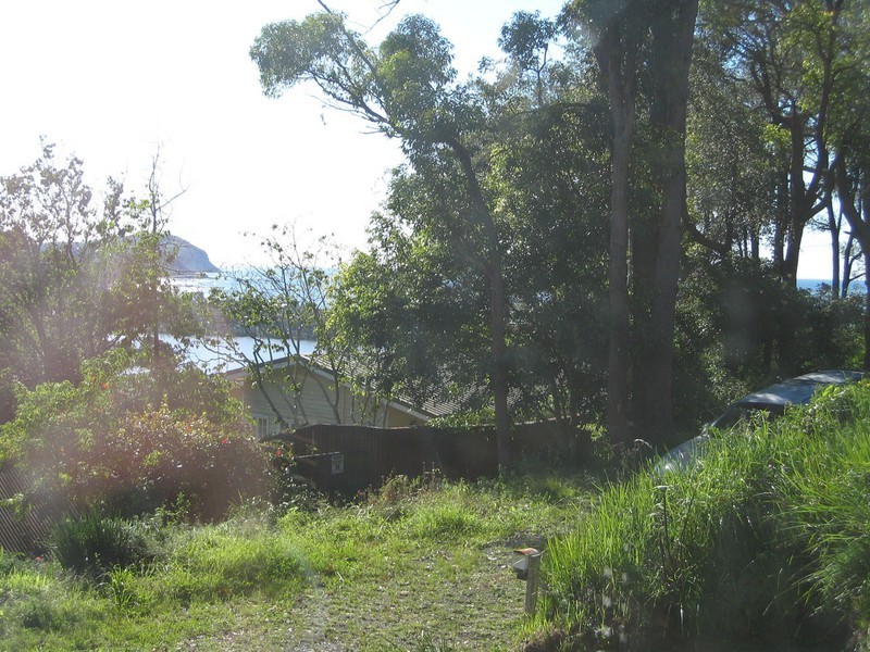 31 Hillcrest Street, Terrigal NSW 2260