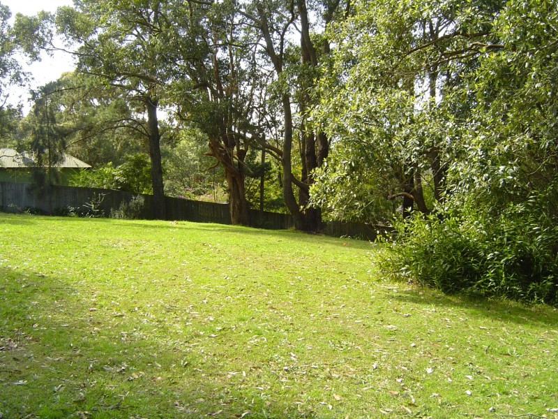 394 Scenic Road, Macmasters Beach NSW 2251