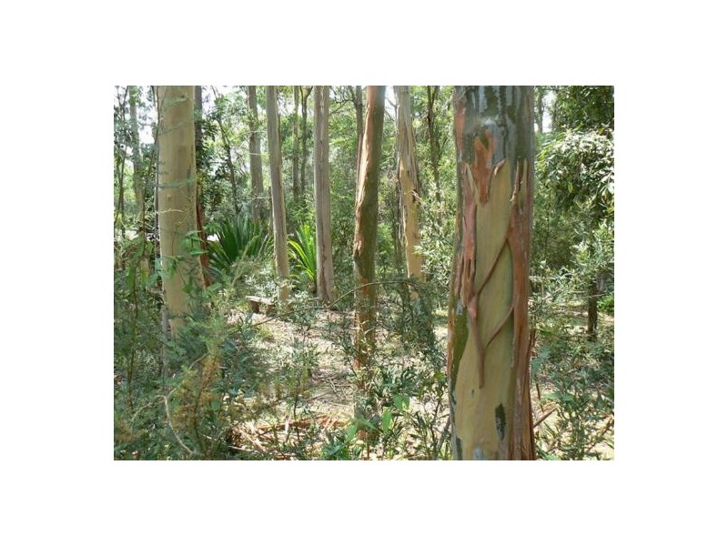 14 Christie Road, Lisarow NSW 2250