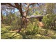 7 Samantha Cres, Kincumber NSW 2251