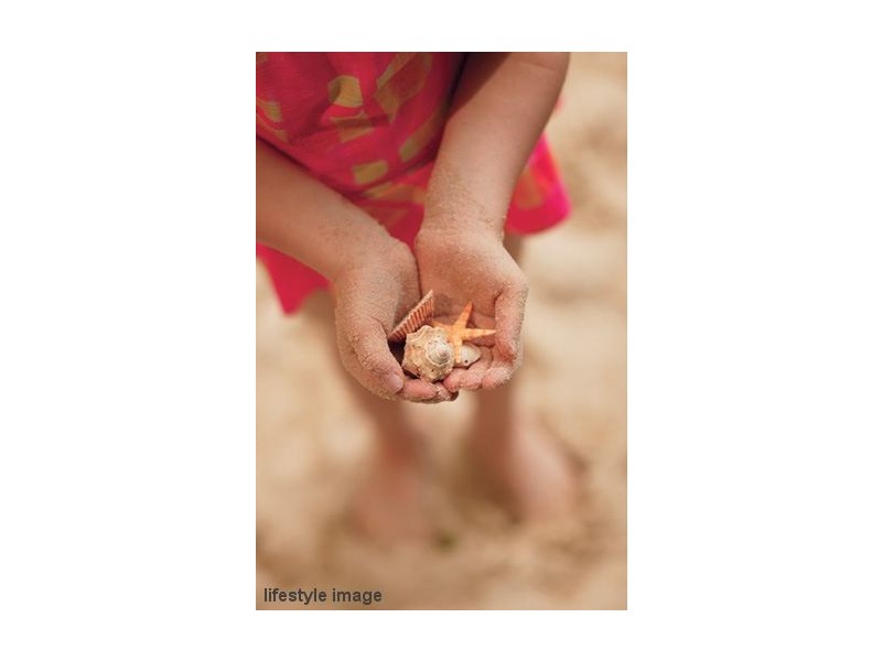 13/20 Avoca Drive, Avoca Beach NSW 2251