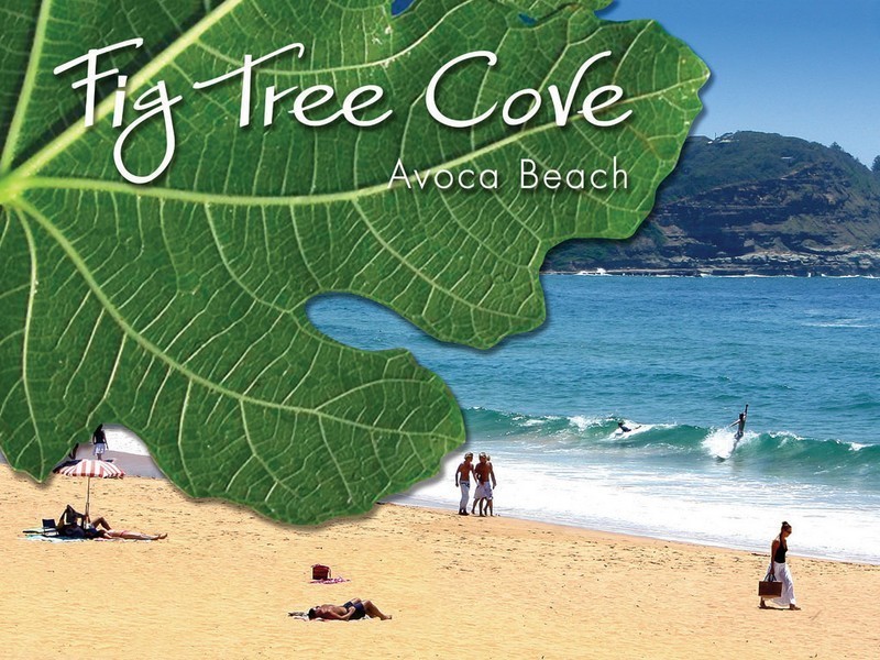 201 The Round Drive, Avoca Beach NSW 2251