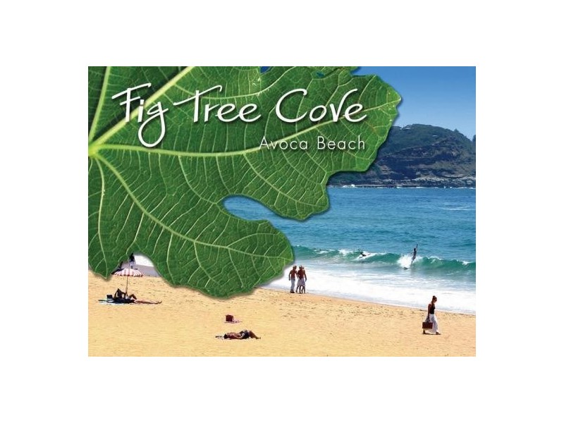 201 The Round Drive, Avoca Beach NSW 2251