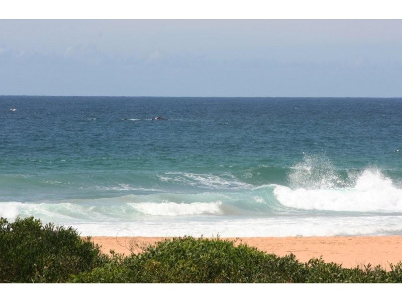 14 Bareena Avenue, Avoca Beach NSW 2251