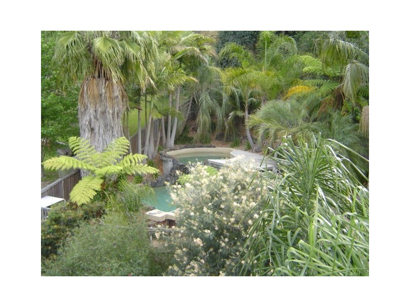 2 Moores Rd, Avoca Beach NSW 2251