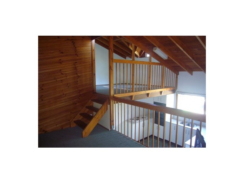 40 Carolina Park Road, Avoca Beach NSW 2251