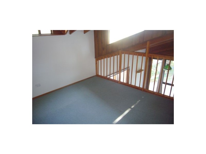 40 Carolina Park Road, Avoca Beach NSW 2251