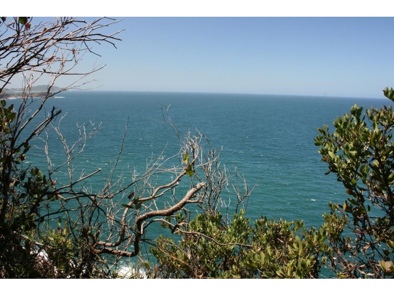 3/42 Avoca Drive, Avoca Beach NSW 2251
