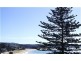 Terrigal NSW 2260