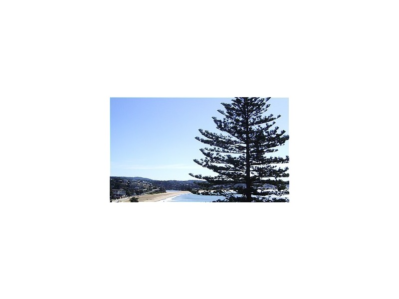 Terrigal NSW 2260