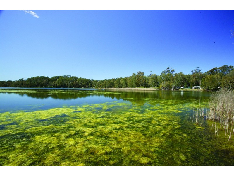 231A The Round Drive, Avoca Beach NSW 2251