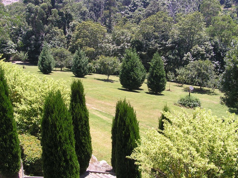 Avoca Beach NSW 2251